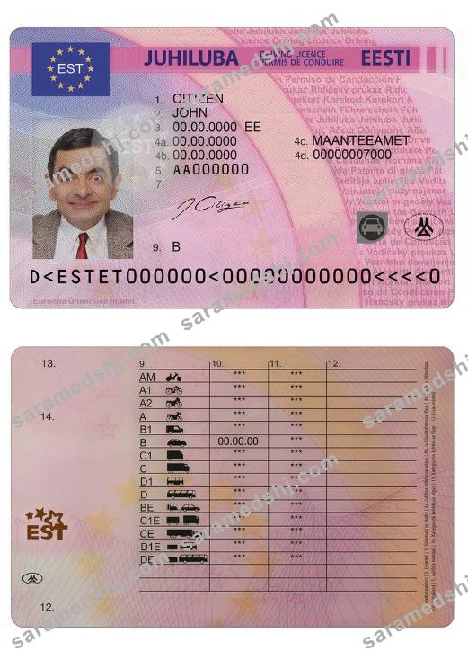 Estonia driving license